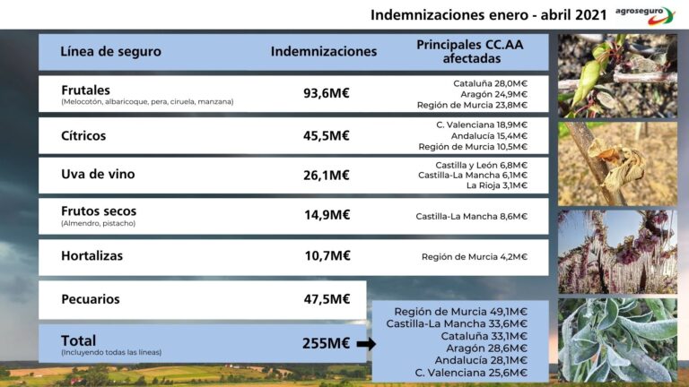 La meteorología complica la realidad del campo: el primer cuatrimestre eleva las indemnizaciones hasta los 255 millones de euros