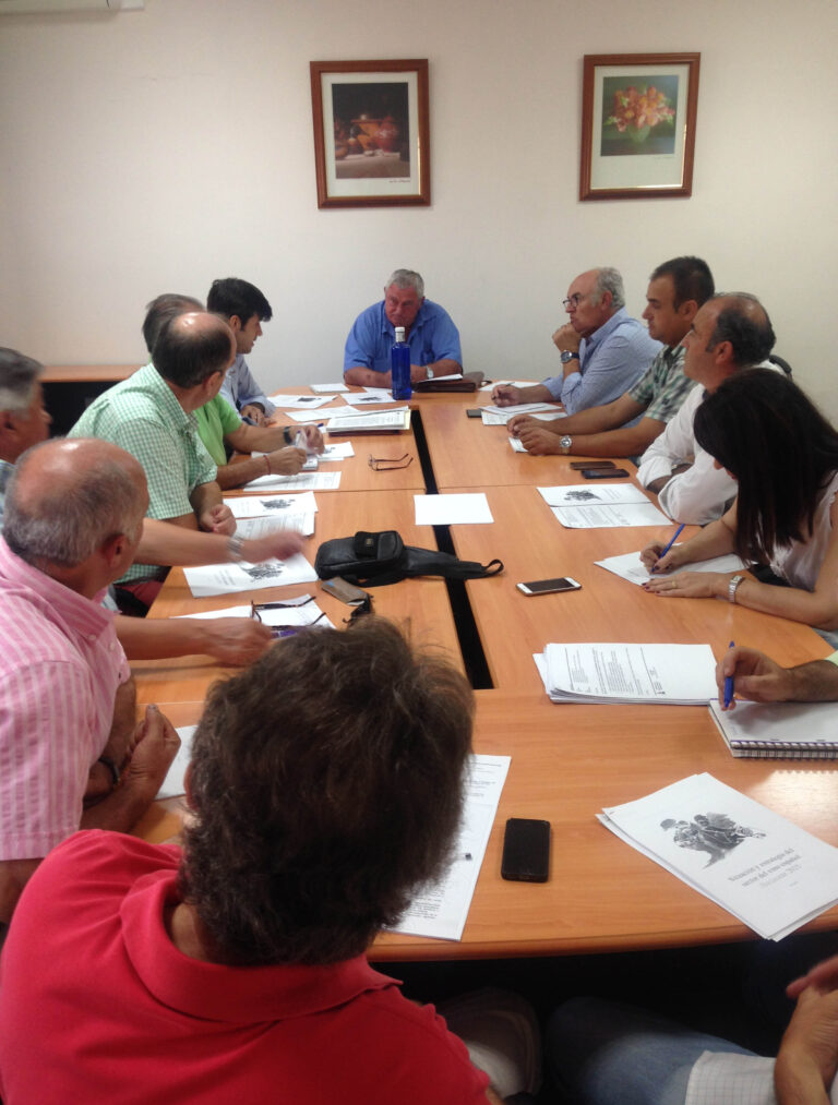 ASAJA CLM prevé un ligero aumento de la producción de vino y mosto