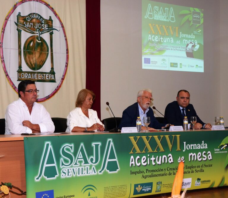 ASAJA-Sevilla estima una producción nacional de aceituna de mesa de 502.000 toneladas verdeables