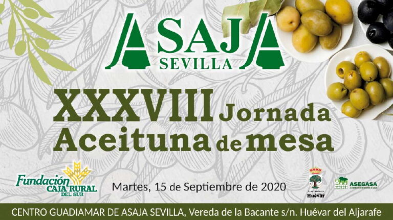Asaja-Sevilla celebra mañana martes, 15 de septiembre, su XXXVIII jornada de aceituna de mesa