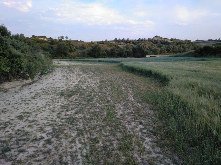 Asaja Rioja. Urge medidas urgentes contra los daños de la fauna silvestre en favor de los agricultores y ganaderos