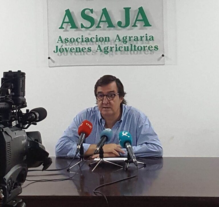 Asaja Extremadura denuncia que la reforma de la PAC en el olivar supondrá un incremento del número de incendios forestales