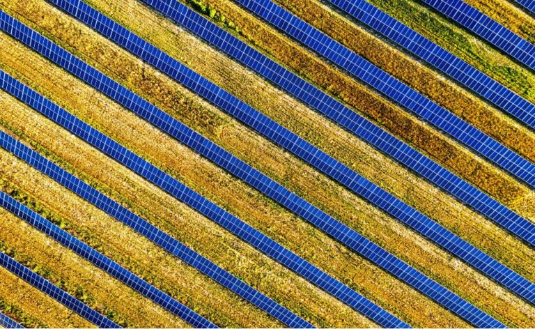 Asaja León  ha pedido hoy a las administraciones que exijan líneas de evacuación subterráneas en todos los macroparques fotovoltaicos