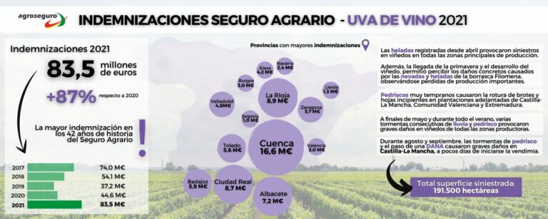 Las indemnizaciones de 2021 del seguro a los viticultores se elevan hasta una cifra histórica: 83,5 millones de euros