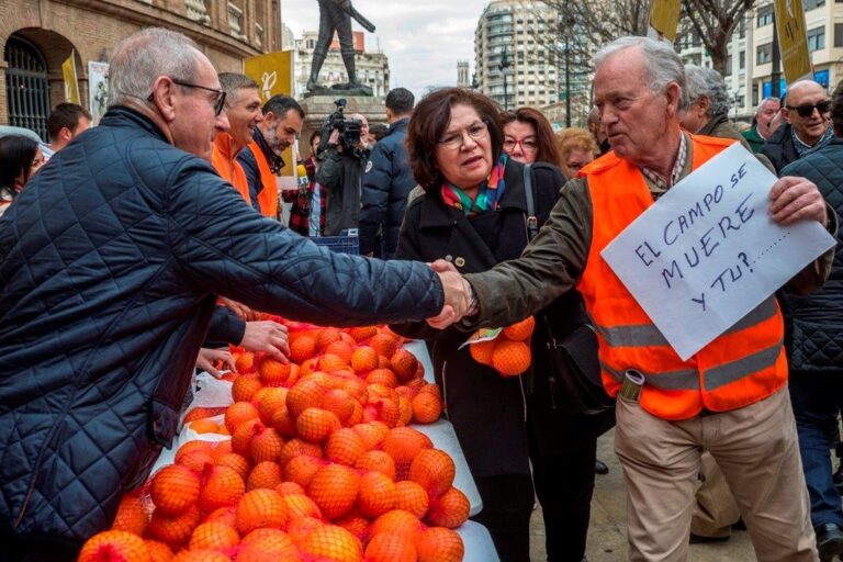 Asaja Valencia reparte hoy 4.000 kilos de naranjas para denunciar la crisis citrícola