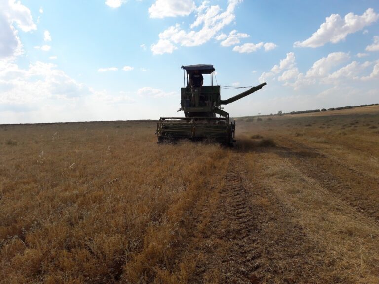 España solicitará a la UE la activación de medidas para paliar los efectos de la sequía