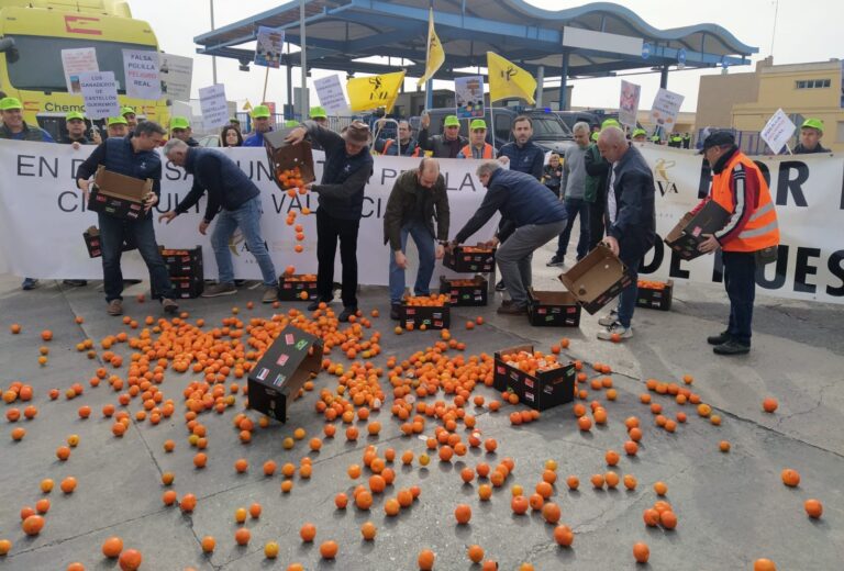 Las organizaciones agrarias denuncian en el puerto de Castellón la competencia desleal y la entrada de plagas