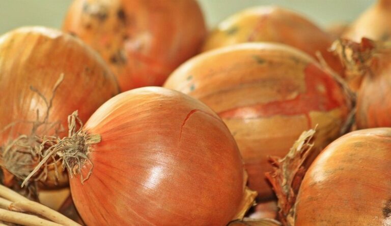 Asaja Valencia AVA y LA UNIÓ denuncian la importación masiva de cebollas foráneas antes del Covid-19 para hundir los precios de la cosecha nacional