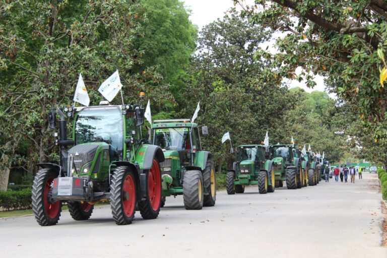 600 agricultores y ganaderos, flanqueados por una decena de tractores, se concentran en la plaza de España de Sevilla en contra de la convergencia brusca de la PAC