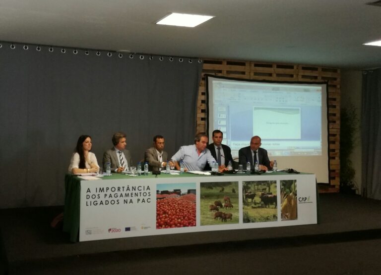 Unión de los países mediterráneos ante la reforma 2020