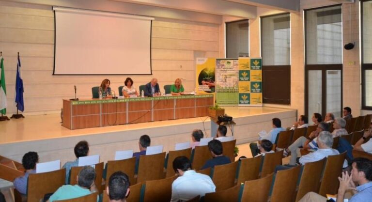 Los agricultores y ganaderos sevillanos perderán 260 millones de euros con la nueva PAC