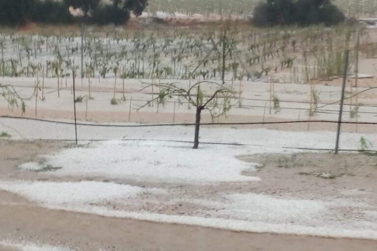 La peor tormenta de pedrisco de los últimos 30 años en Utiel-Requena afecta a 30.000 hectáreas con unas pérdidas de 30 millones de euros