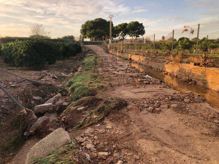 La DANA causa pérdidas superiores a 15 millones en la agricultura de Valencia y Castellón
