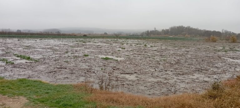 Asaja Rioja ARAG: “la solución a las inundaciones no es venir y dar dinero, sino limpiar los cauces de los ríos como antes”