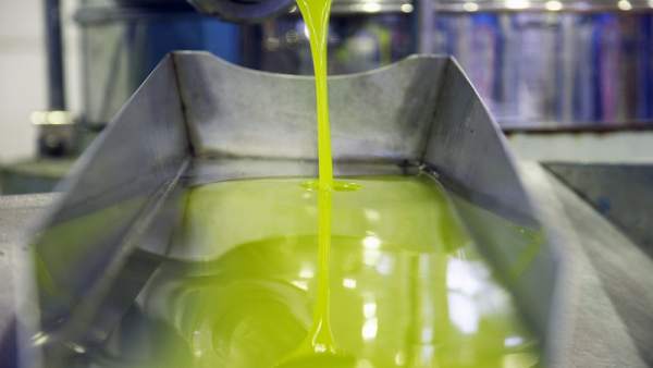 Buen ritmo de la producción de aceite de oliva a nivel nacional hasta noviembre