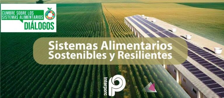 El sector porcino es un agente clave en la aportación de nutrientes a una dieta equilibrada y en la lucha contra la desnutrición