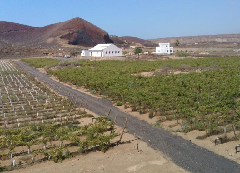 Asaga se basa en el dictamen del consejo consultivo    de Canarias para salvar el suelo agrícola de la “okupación” que se pretende en el Malpaís de La Rasca
