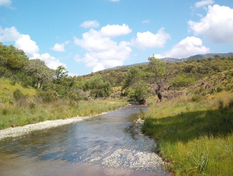 Consejo del agua del Júcar