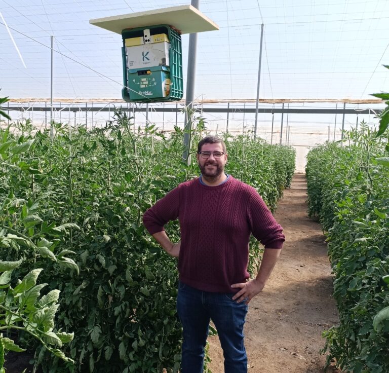 Innovación en la Producción y Comercialización de Hortícolas