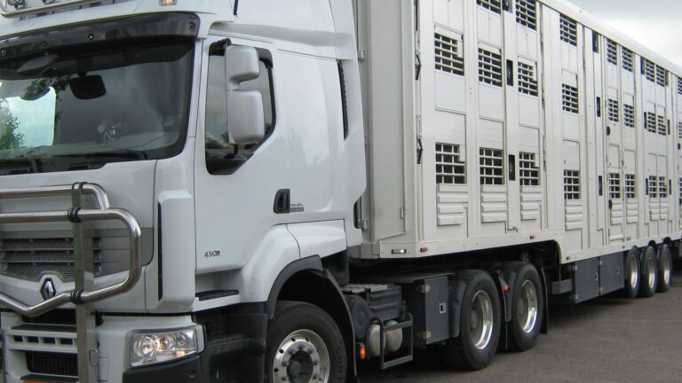 El sector advierte sobre el impacto de posibles cambios legislativos de bienestar animal en transporte animal
