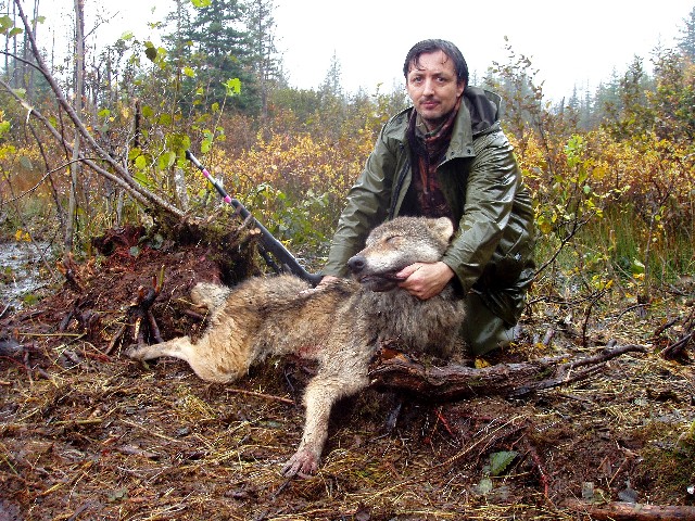 La Fundación Artemisan defiende el sistema actual de gestión del lobo