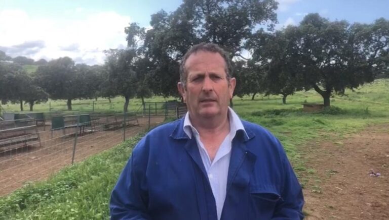 APAG Extremadura Asaja reclama a la Junta que “arrime el hombro” y complemente las ayudas estatales al ovino y caprino