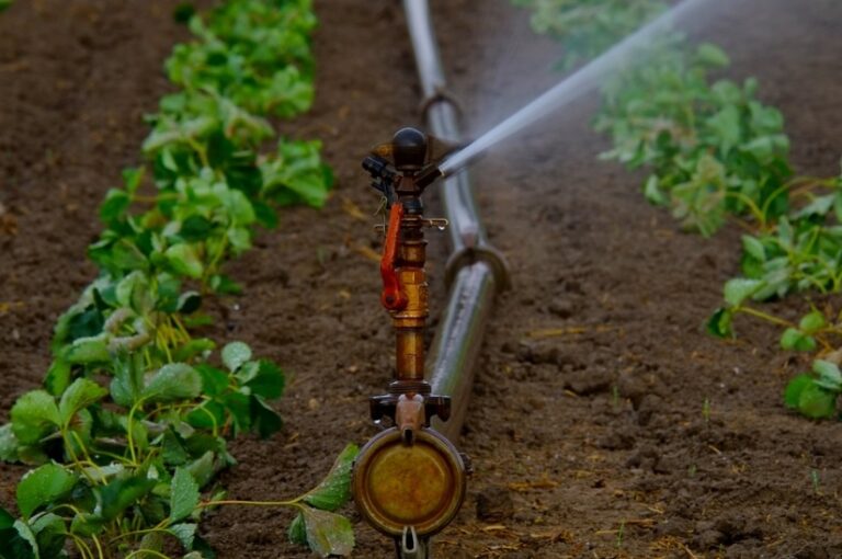 Apag Extremadura Asaja considera que la nueva normativa nacional de pozos de sondeo acabará con muchas explotaciones agrarias y ganaderas