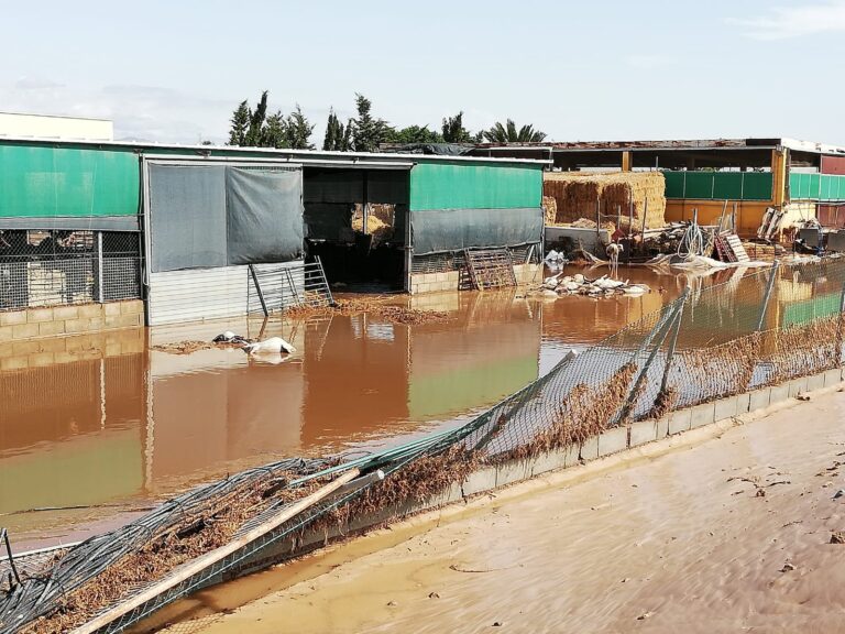 Asaja Almería estima en mas de 350 hectareas de invernadero afectadas por las lluvias