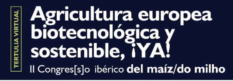 Los productores de maíz españoles y portugueses abordan en una tertulia virtual el gran valor de la biotecnología en una agricultura sostenible