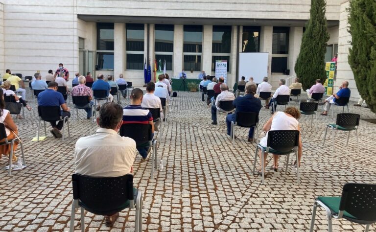 La producción española de aceituna de mesa será aún menor que la pasada, no superará las 465.000 toneladas, y puede resultar insuficiente para cubrir la demanda de la industria envasadora