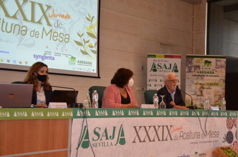 XXXIX Jornada de Aceituna de Mesa de ASAJA-Sevilla .  La corta cosecha mundial permitirá que en 2021 el sector del verdeo supere por fin su crisis de precios
