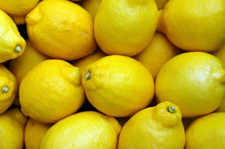 ASAJA Alicante avisa a los supermercados que bajar los precios del limón promueve prácticas desleales que perjudican al productor de cítricos