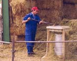 El 94,5% de los autónomos que ha perdido la provincia, en los ultimos 12 meses, eran agricultores y ganaderos