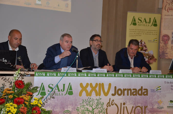 La previsión de una campaña corta eleva los precios del aceite al inicio de la recolección