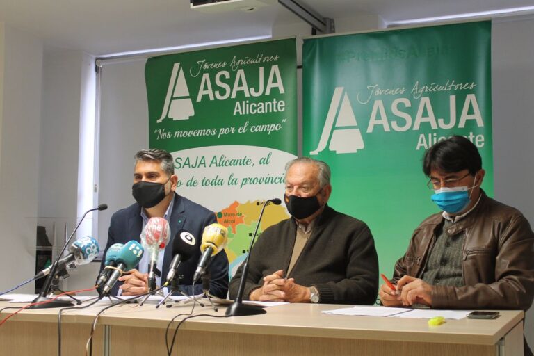 Los cítricos se convierten en el salvavidas del agro alicantino en el “Año Covid”, con un valor que sube un 23% por la demanda de vitamina C