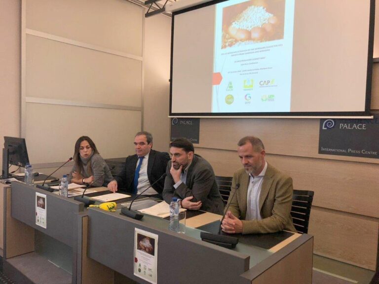 La Comisión Europea aprueba una clausula de salvaguarda para proteger al sector arrocero europeo frente a las importaciones asiáticas