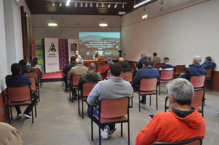 Asaga Canarias y el Ayuntamiento de La Laguna buscarán suelo agrícola para cultivar forrajes y granos e impulsar la ganadería local