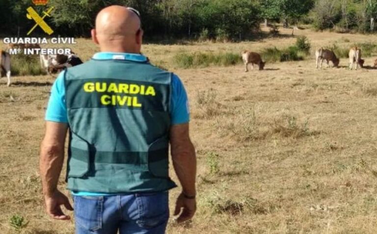 Asaja Málaga denuncia una oleada de robos en explotaciones agrarias de la provincia