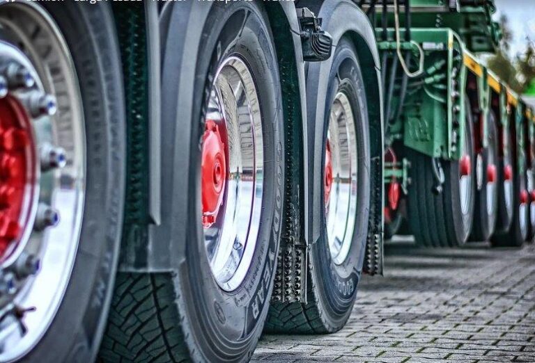 Asaja Extremadura alerta sobre episodios de canibalismo en las explotaciones porcinas ante la falta de pienso por la huelga de transportistas