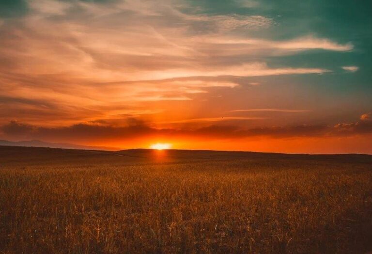 La agricultura de secano no  soportará las altas temperaturas que se anuncian, lo que se traducirá en importantes pérdidas para el campo leonés