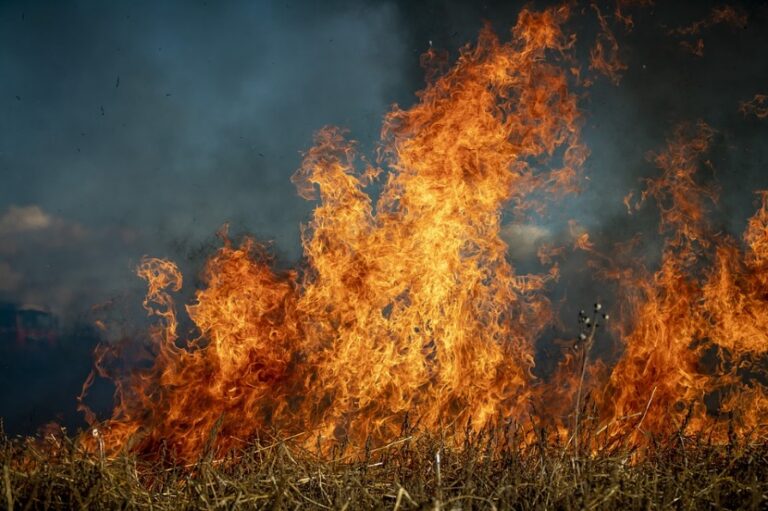 Un proyecto evalúa la recuperación de campos abandonados en Venta del Moro para prevenir incendios