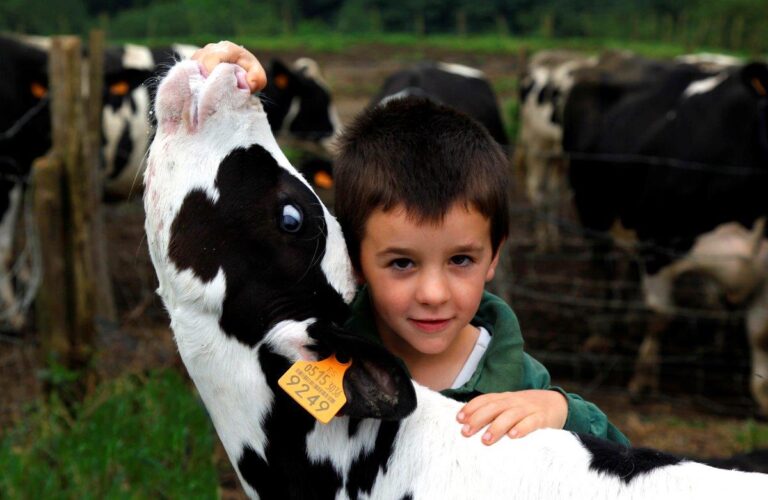 36 caseríos vascos abrirán sus puertas el 5 y 6 de Julio dentro del programa ONGI ETORRI BASERRIRA!