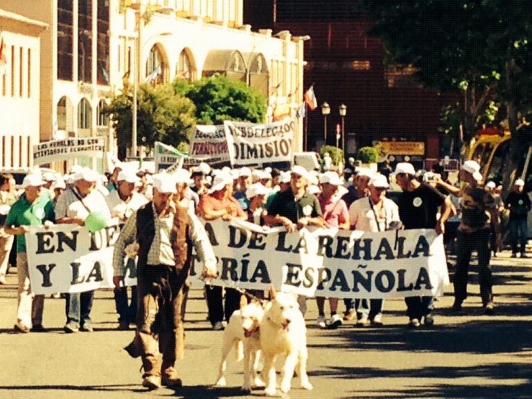 La ONC denuncia el Anteproyecto de Ley sobre la tenencia de perros que prepara el Gobierno