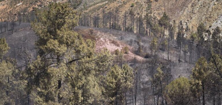 En estos días de altas temperaturas, Asaja Córdoba destaca la labor de los agricultores y ganaderos en la lucha contra los incendios