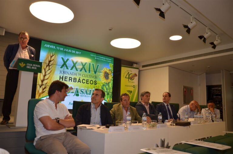 El trigo y el girasol tendrán futuro en Andalucía si el sector marca una estrategia de diferenciación que le separe de sus competidores
