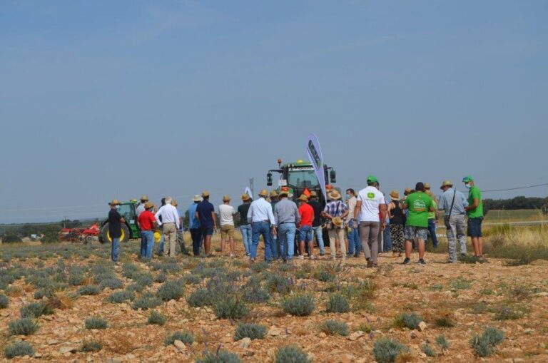 La escarda mecánica se plantea como una alternativa ante la propuesta de Europa de reducir el uso de Fitosanitarios