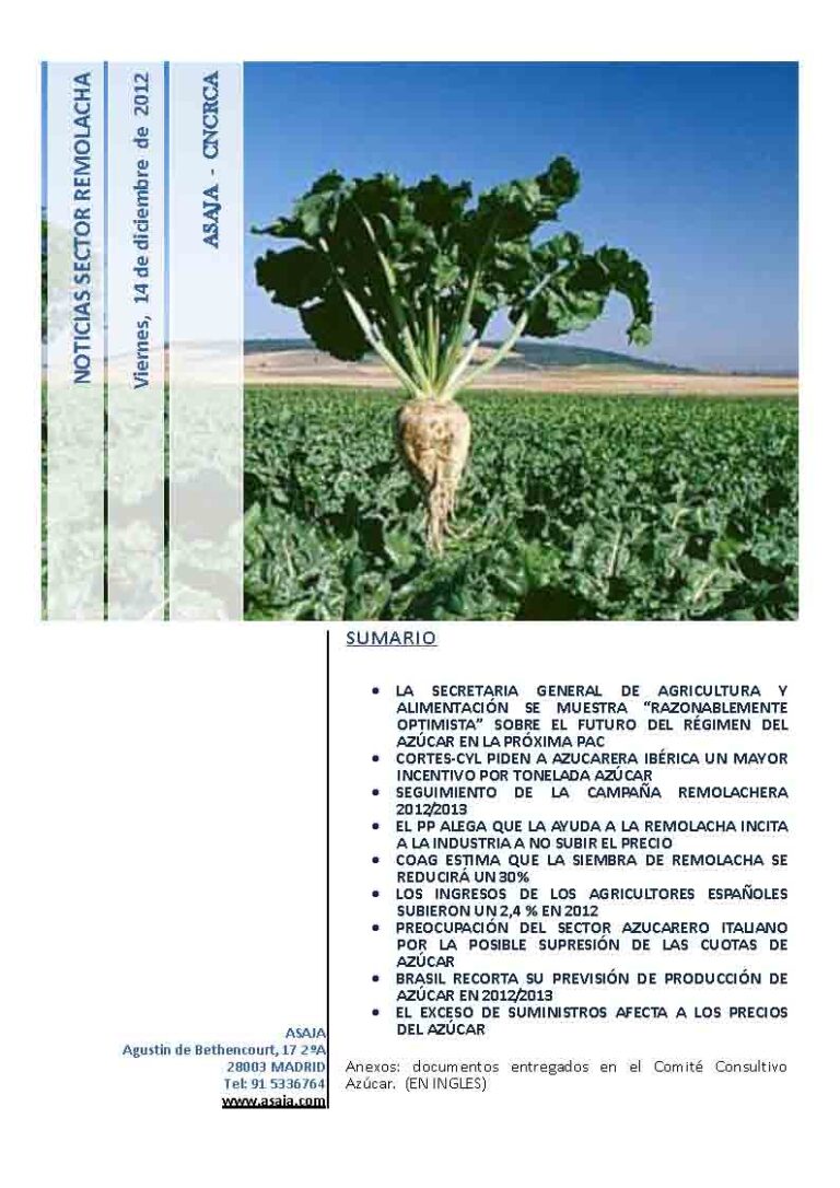 Noticias Sector Remolacha (Viernes, 14 de diciembre de 2012)