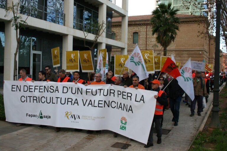2.000 citricultores se manifiestaron a las puertas de la Conselleria de Agricultura para exigir soluciones a la crisis que arruina al sector