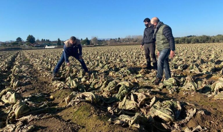 Asaja Rioja ARAG denuncia la “inacción” de las distintas administraciones tras los daños provocados por las inundaciones del Ebro hace ya más de un mes