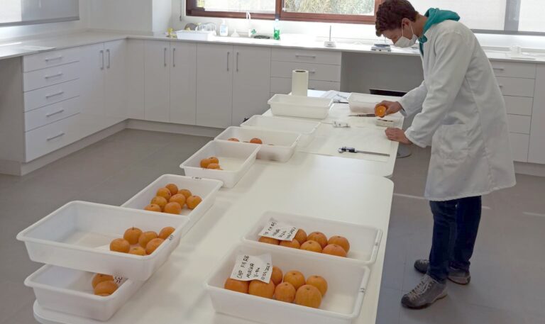 INCLIVA y Asaja Valencia AVA inician proyectos biomédicos para estudiar y difundir las propiedades saludables de los productos agrarios valencianos